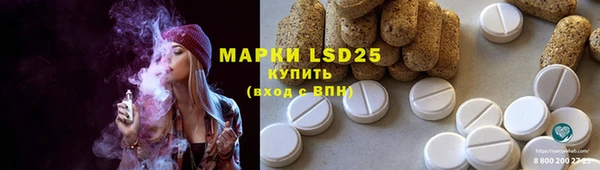 МДПВ Михайлов