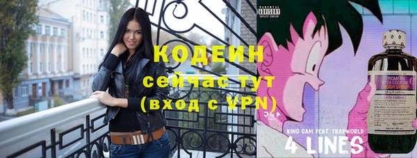 МДПВ Михайлов