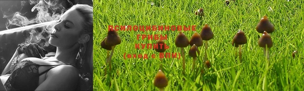 MDMA Premium VHQ Михайловск
