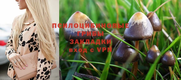 прущие крисы Михайловка