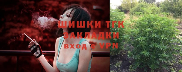 МДПВ Михайлов