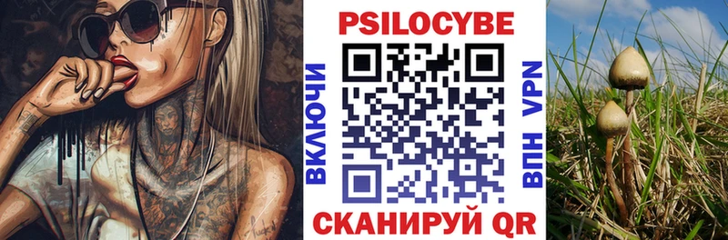 hydra   закладки  Сыктывкар  Псилоцибиновые грибы Magic Shrooms 